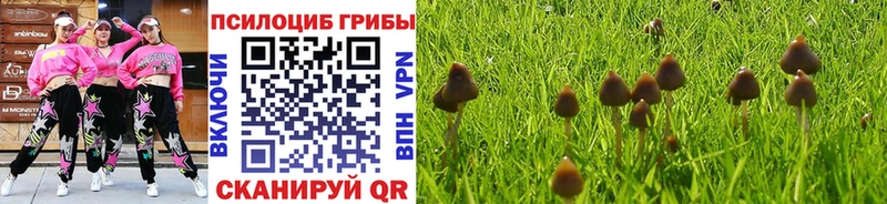 Псилоцибиновые грибы Psilocybe  кракен ONION  Николаевск 