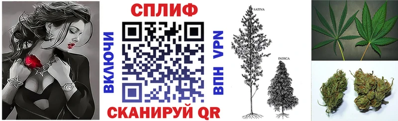 продажа наркотиков  Николаевск  дарк нет какой сайт  Марихуана гибрид 